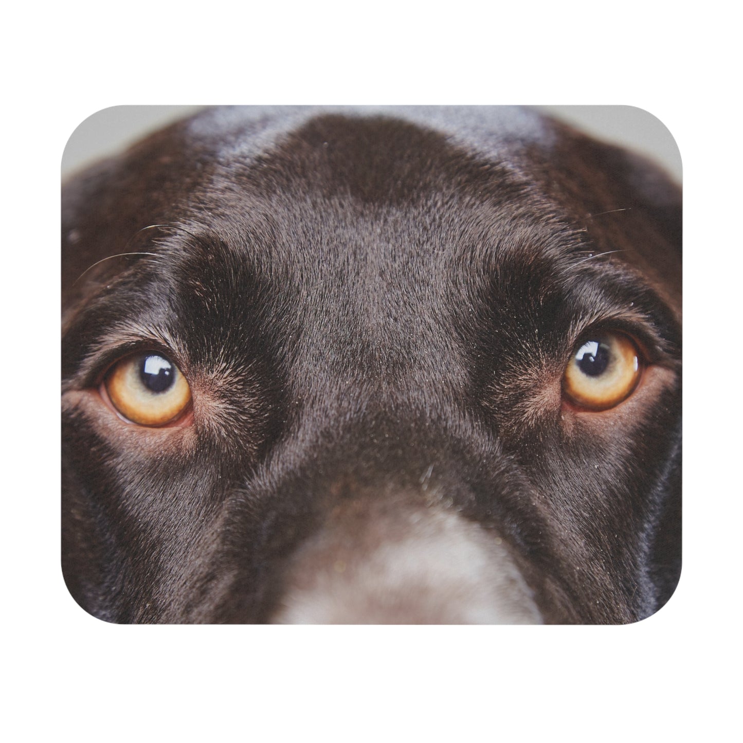 Personalized Dog Photo Mouse Pad (Rectangle)