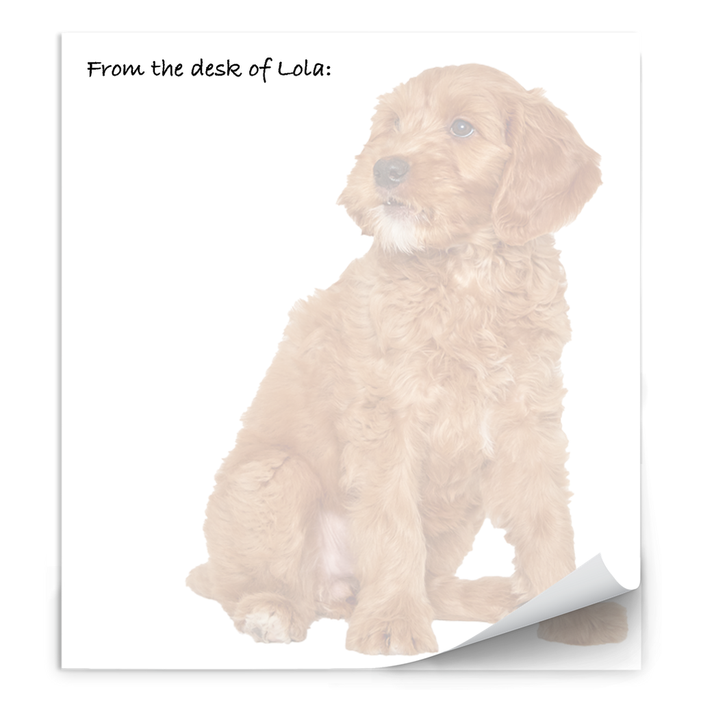 Photo Notepads