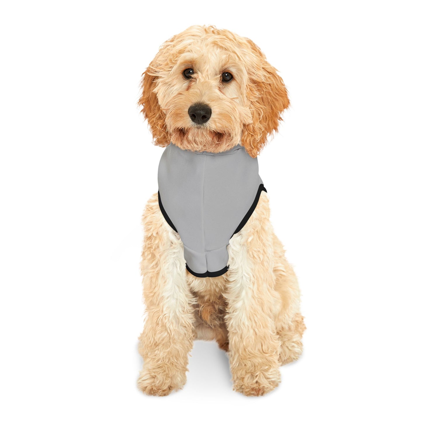 "I'm Lost don't follow me" Pet Hoodie