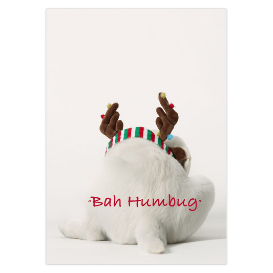 "Bah Humbug"